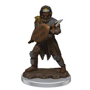 D&D ICONS REALMS FIG MALE HUMAN FIGHTER (APR218984)