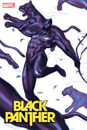 BLACK PANTHER #2 25 COPY INCV SWAY VAR