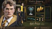 (USE JUN238246) HARRY POTTER GOBLET OF FIRE CEDRIC DIGGORY 1