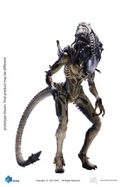 AVPR PREDALIEN PX 1/18 SCALE FIGURE