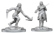 D&D NOLZURS MARVELOUS HALF ELF ROGUE FEMALE