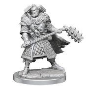 D&D FRAMEWORKS HUMAN FIGHTER MALE