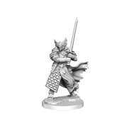 D&D FRAMEWORKS DRAGONBORN PALADIN MALE