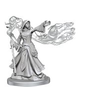 D&D FRAMEWORKS ELF WIZARD FEMALE