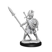 D&D FRAMEWORKS HUMAN FIGHTER FEMALE