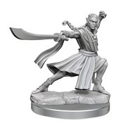 D&D FRAMEWORKS ELF MONK MALE