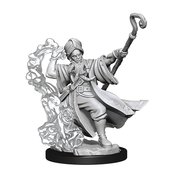 D&D FRAMEWORKS HUMAN WIZARD MALE