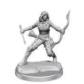 D&D FRAMEWORKS HUMAN ROGUE FEMALE