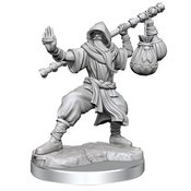 D&D FRAMEWORKS HUMAN MONK MALE