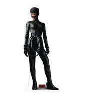 DC HEROES THE BATMAN CATWOMAN POSE LIFE-SIZE STANDEE