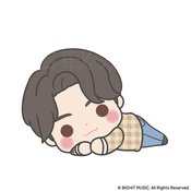 BTS TINY TAN DREAMY MEJ DOLL DY JUNG KOOK PLUSH