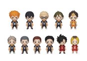 HAIKYUU 24PC 3D FOAM BAG CLIP BMB DS