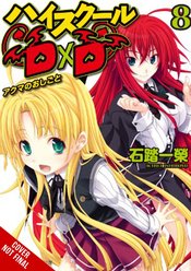 HIGH SCHOOL DXD LIGHT NOVEL SC VOL 08