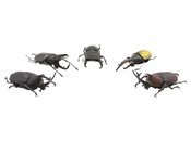 BEETLE & STAG BEETLE HUNTER 2 10PC BMB DS