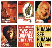 PLANET OF THE APES 36PC MAGNET ASST