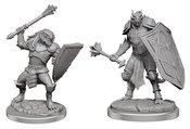 D&D NOLZURS MARVELOUS UNPAINTED MINIS DRAGONBORN CLERICS