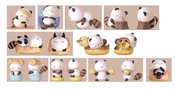 MOER ACT CUTE RACCOON DIARY 8PC FIG BMB DS