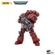 JOYTOY WH 40K BLOOD ANGELS INTERCESSORS BRO MARINE 2 1/18 AF