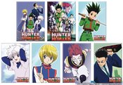 HUNTER X HUNTER 48 CT MAGNET ASST