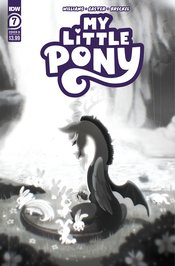 NOV221589 - MY LITTLE PONY #9 CVR A MEBBERSON - Previews World