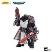 JOYTOY WH 40K BLK TEMPLARS SWORD BRETHREN HARMUND 1/18 AF (N