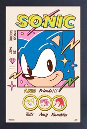 SONIC AND FRIENDS FRAMED PRINT