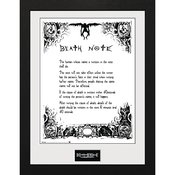 DEATH NOTE RULES OF THE NOTEBOOK FRAMED PRINT