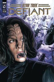 STAR TREK DEFIANT #14 CVR B WOODWARD