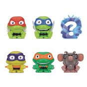 TMNT MOVIE MASH EMS 20PC BMB DS (Net)