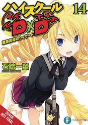 HIGH SCHOOL DXD LIGHT NOVEL SC VOL 14 (MR)