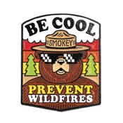 SMOKEY BEAR BE COOL PIN