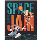 SPACE JAM BUGS BUNNY LOLA BUNNY 17IN WOOD WALL DECOR  (