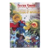 DOCTOR STRANGE MULTIVERSE MADNESS 13IN CANVAS WALL DECOR (NE