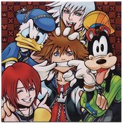 KINGDOM HEARTS CHARACTER CANVAS WALL DECOR