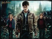 HARRY POTTER HARRY HERMIONE & RON 500 PC LENTICULAR PUZZLE (