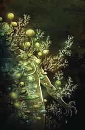 IN BLOOM #4 (OF 5) CVR C 10 COPY INCV TEMPLESMITH