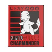 POKEMON TCG CHARMANDER 2 IN ALBUM