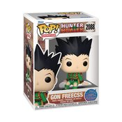 POP ANIMATION HUNTER X HUNTER GON FREECSS SIT FIG