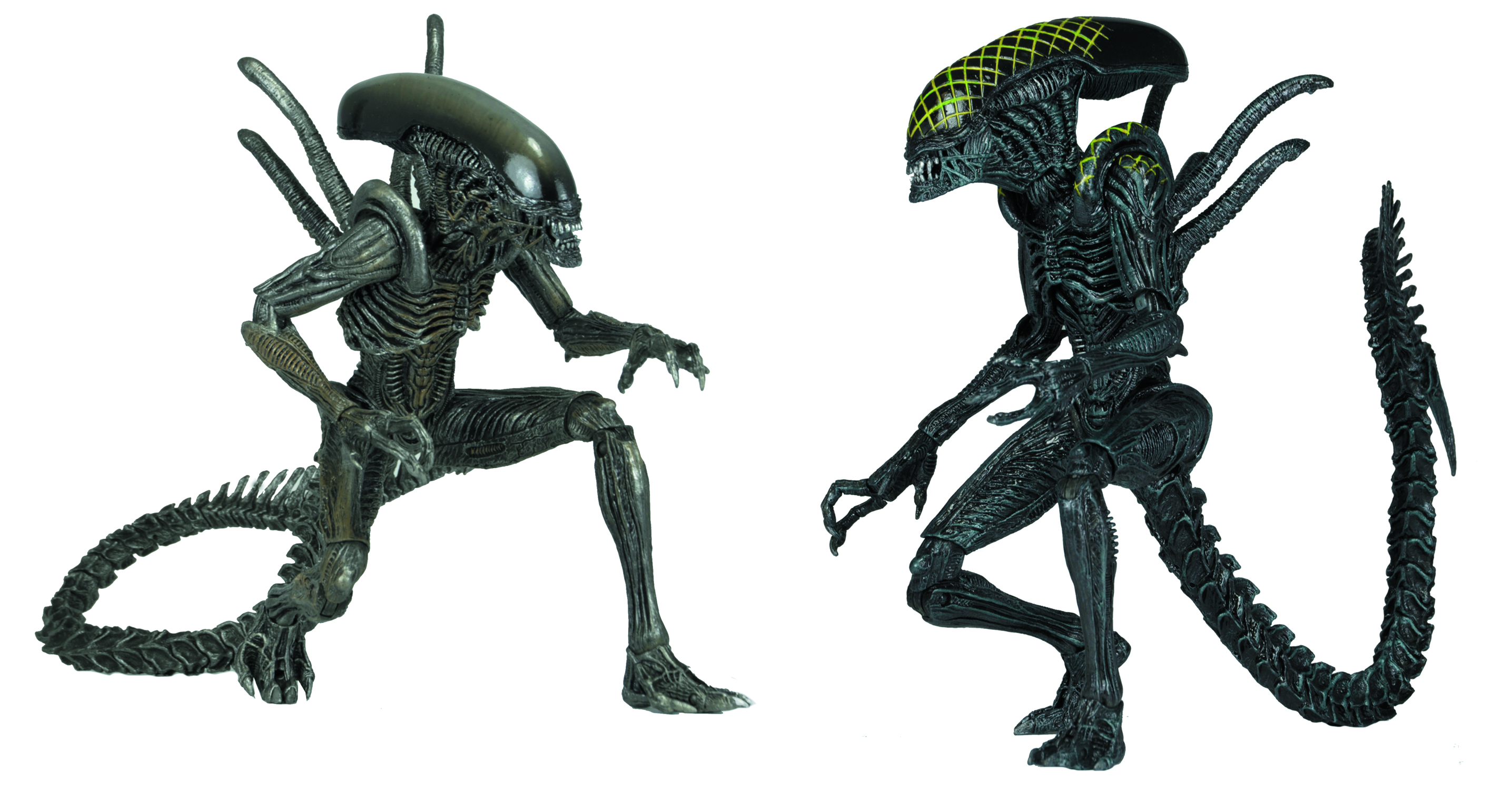 Фигуры чужого. Фигурка AVP Warrior Alien чужой.