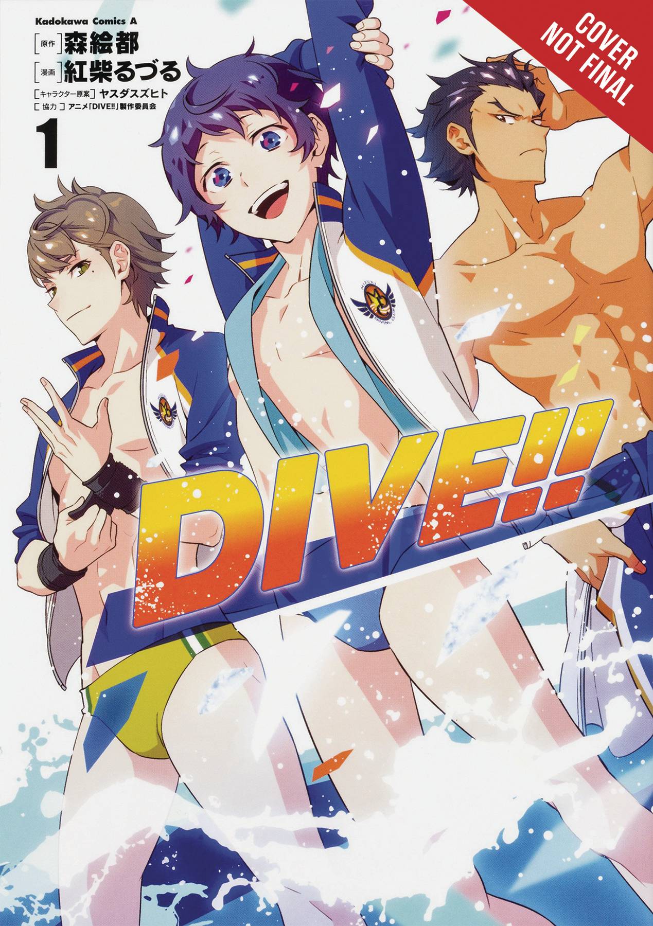 <b>Dive</b> gn vol 01 (NOV182181) .