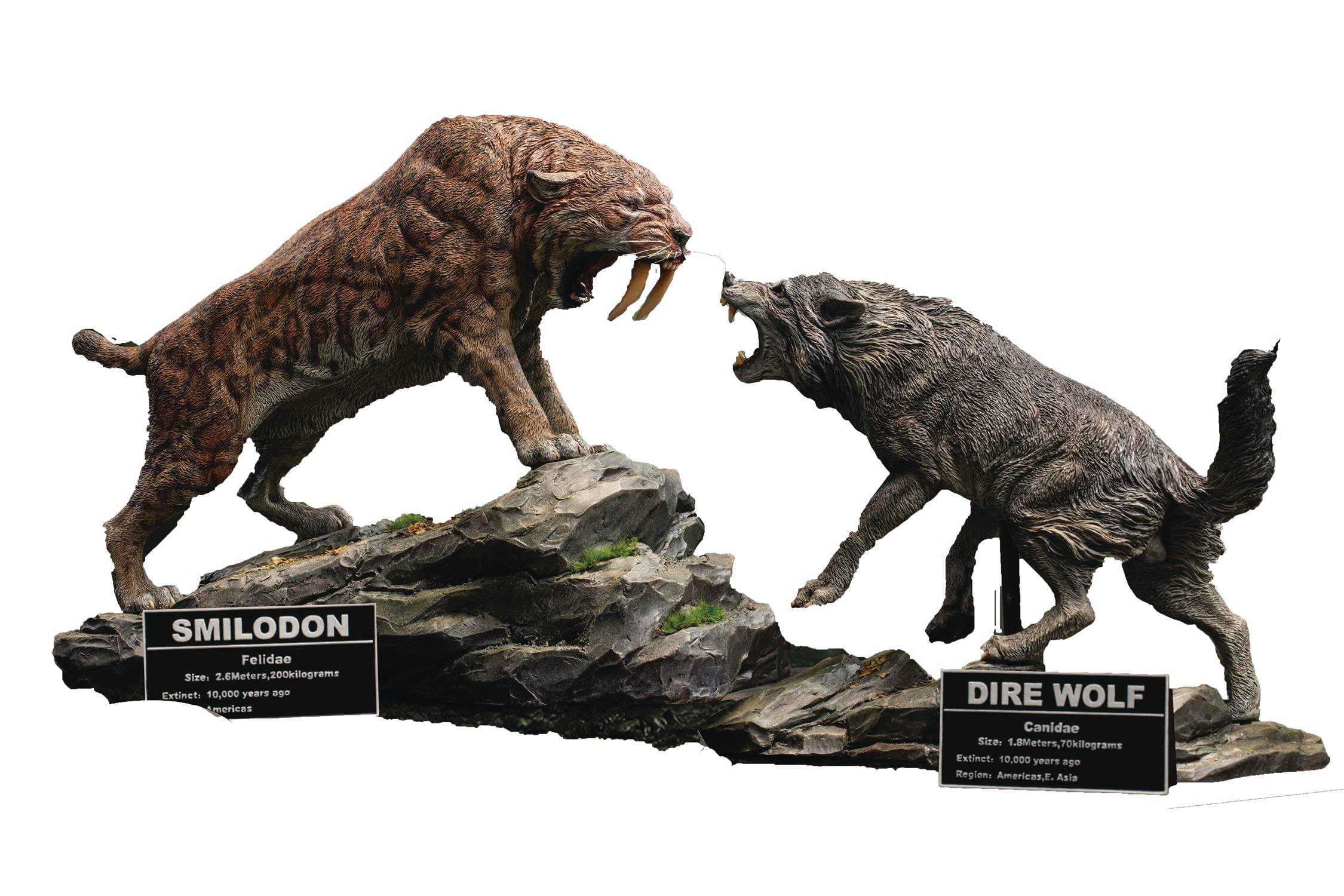 JUL238771 - WONDERS OF WILD SER DIRE WOLF & SMILODON STATUE SET (C