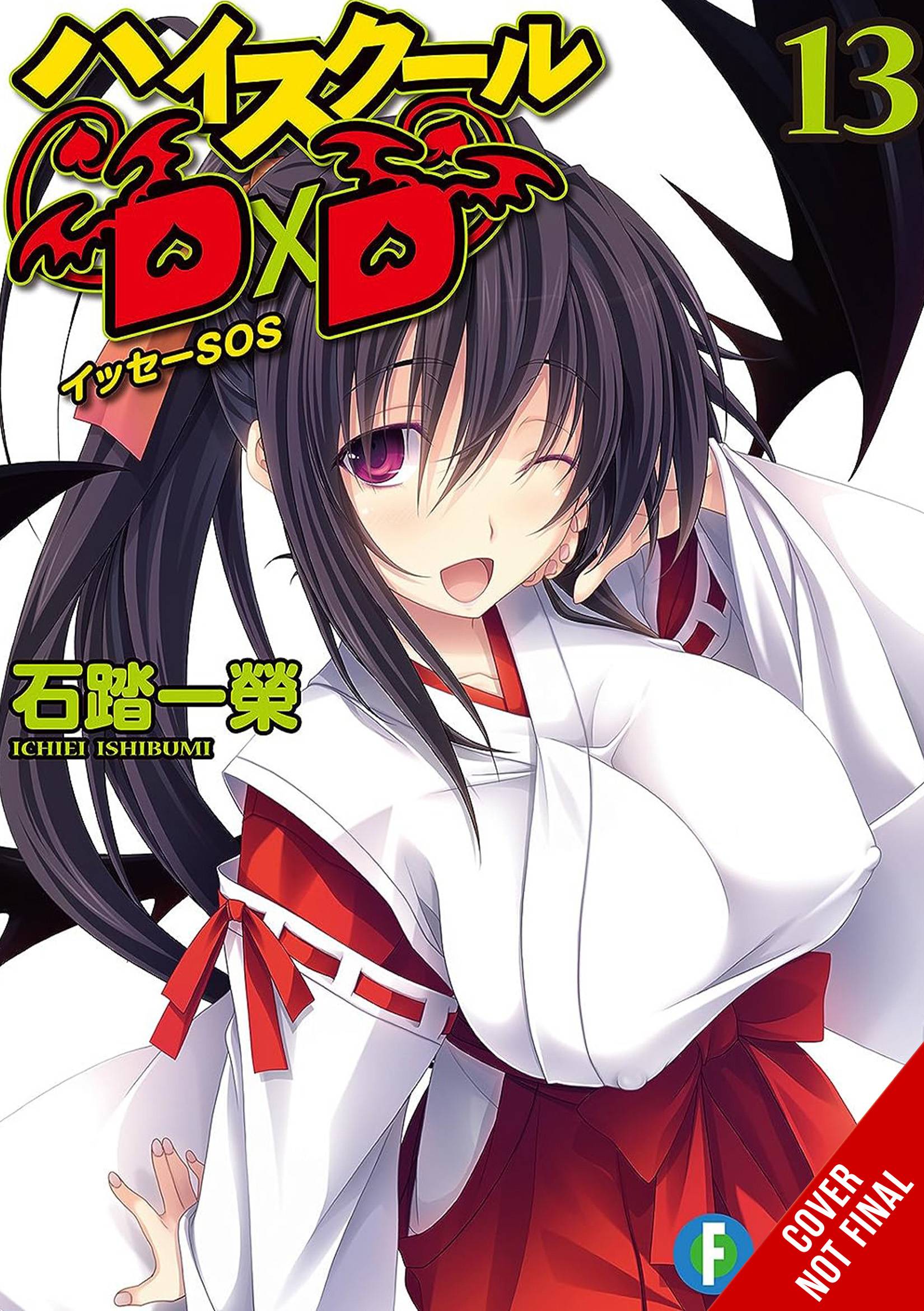 High <b>school</b> DXD light novel SC vol 13 (JAN242135) .