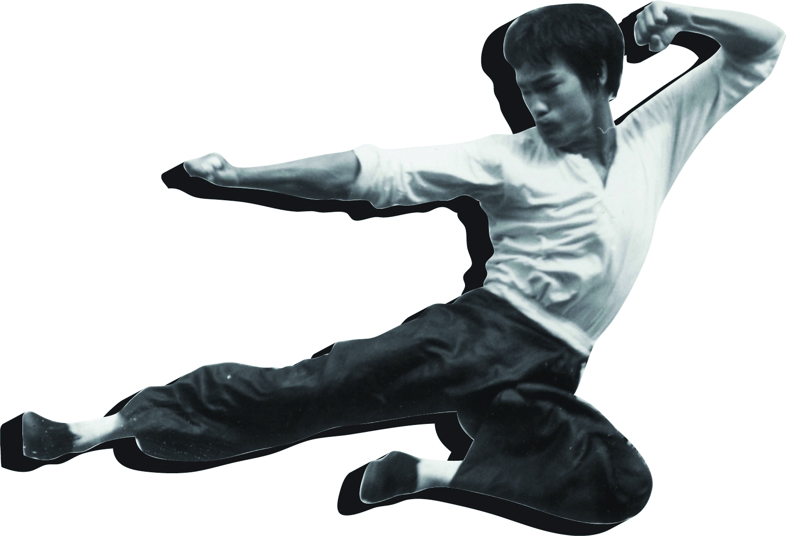 bruce lee flying kick logo