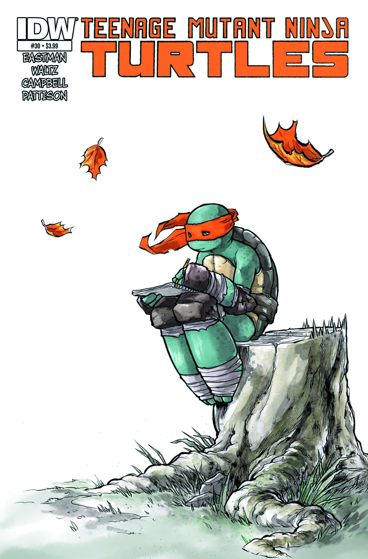TMNT ONGOING #30
