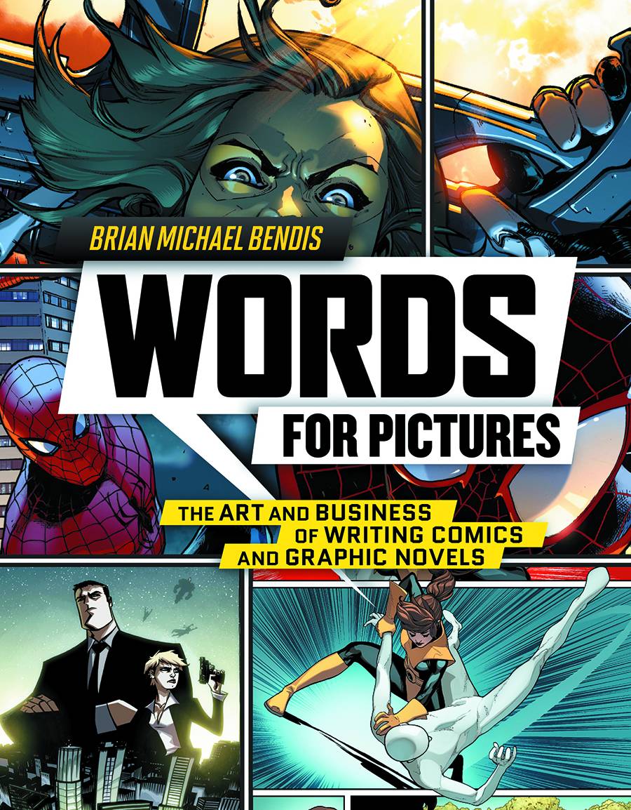 WORDS FOR PICTURES ART & BUSINESS OF WRITING COMICS SC