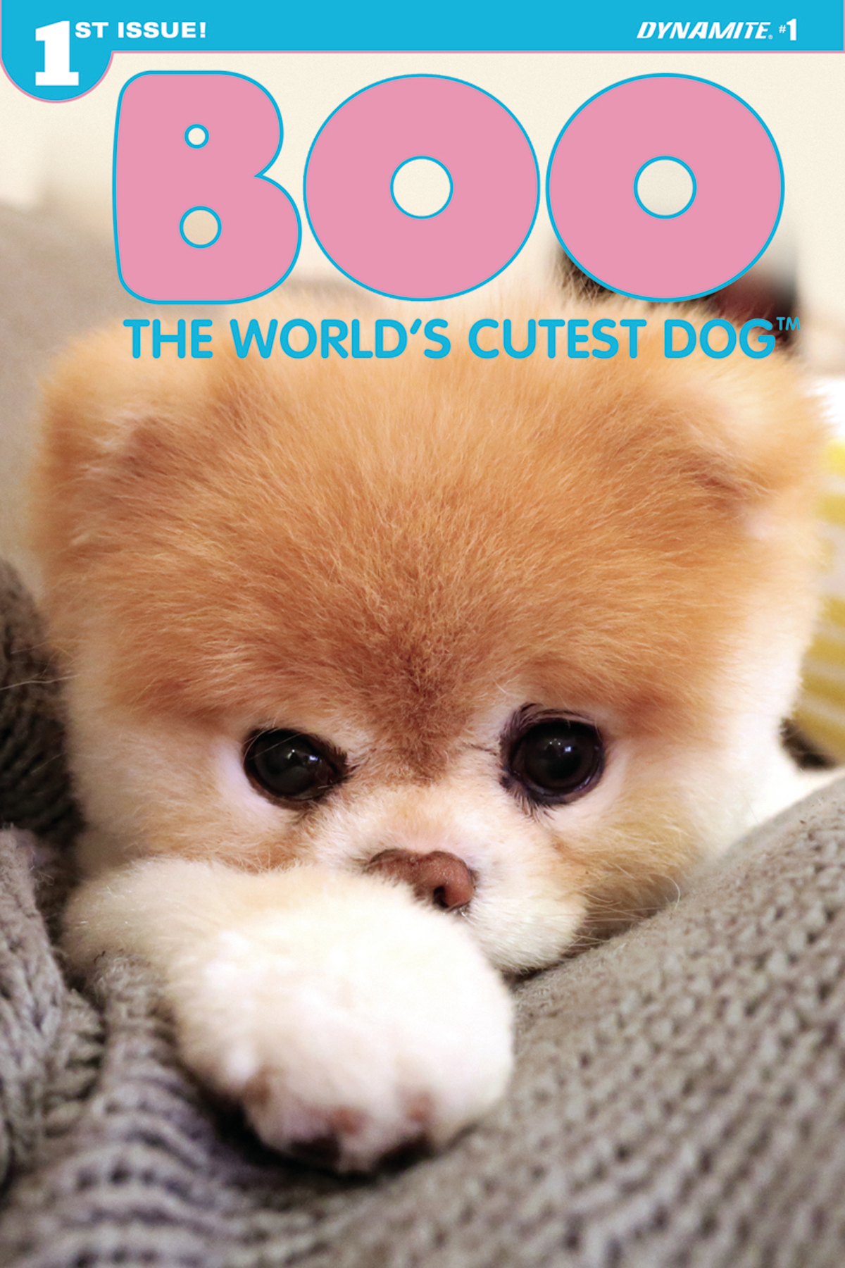 Jul Boo Worlds Cutest Dog 1 Of 3 Cvr E Photo Previews World