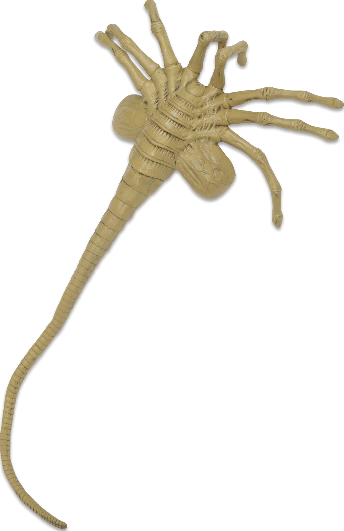 Alien Xenomorph Facehugger