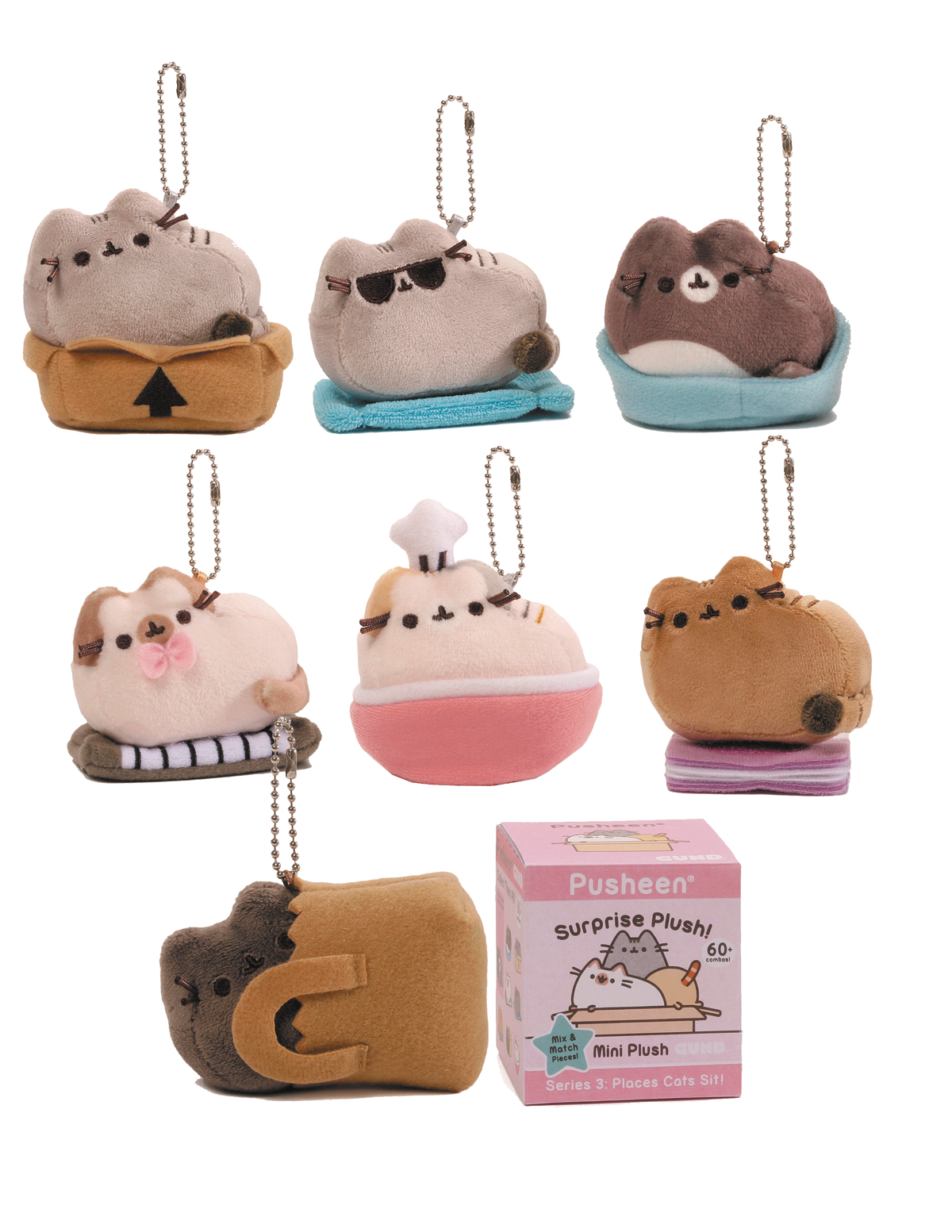 pusheen places cats sit