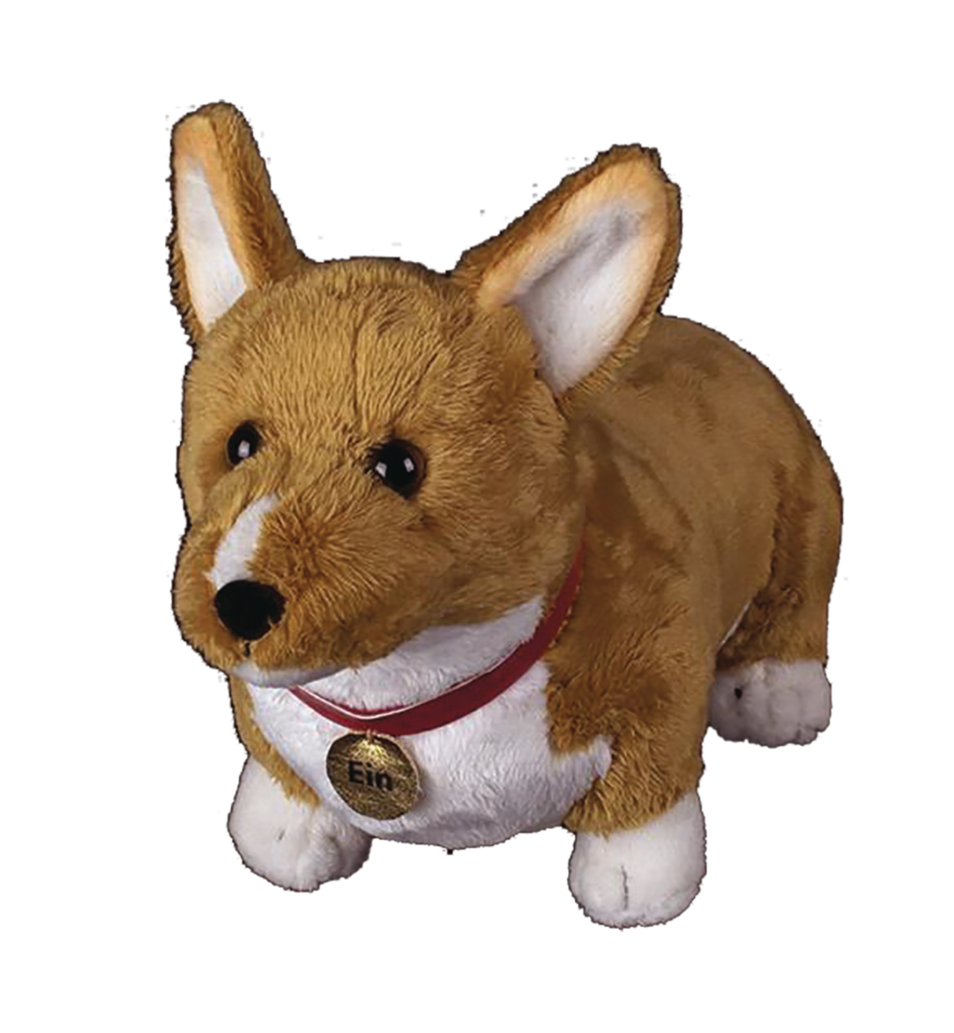 welsh corgi ein