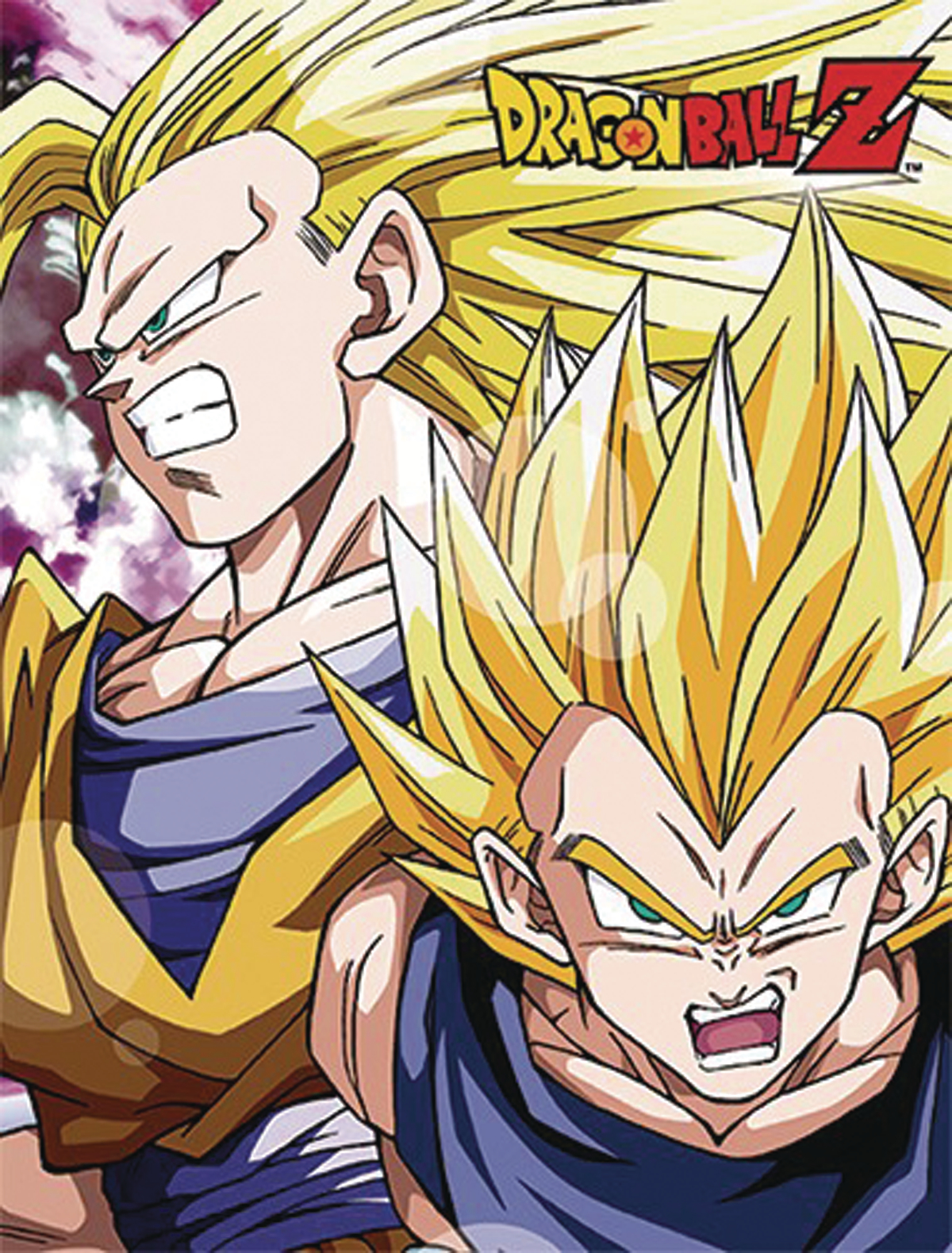 Super Saiyan 3 Goku + Super Saiyan 2 Vegeta. 